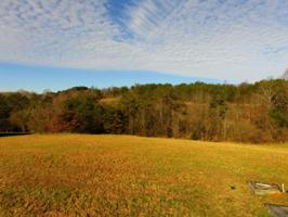 180 Morning Dove Drive