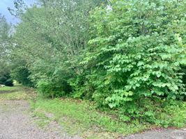 Lot 19 Powell Lane