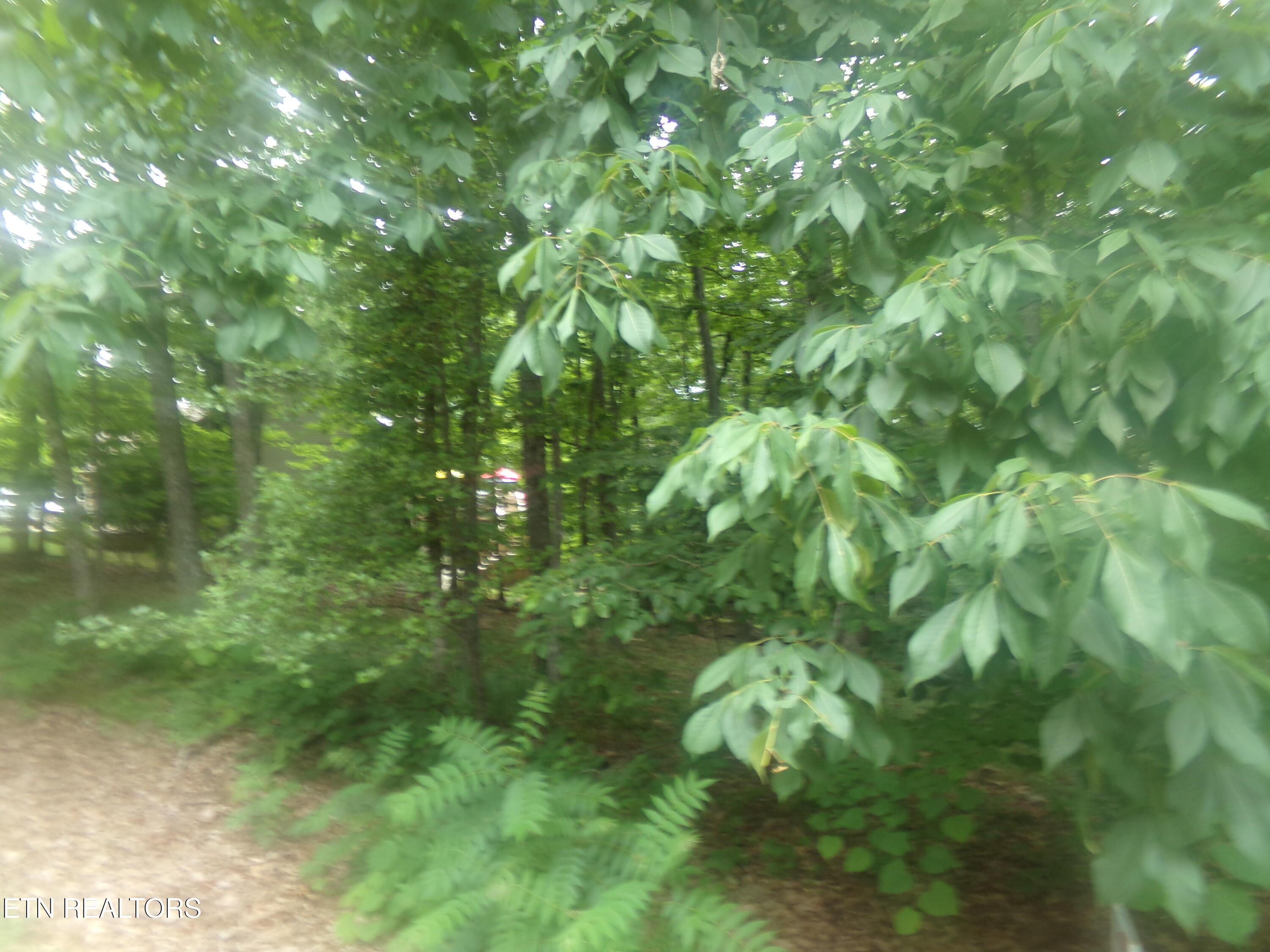 Image 2: Front of Lot