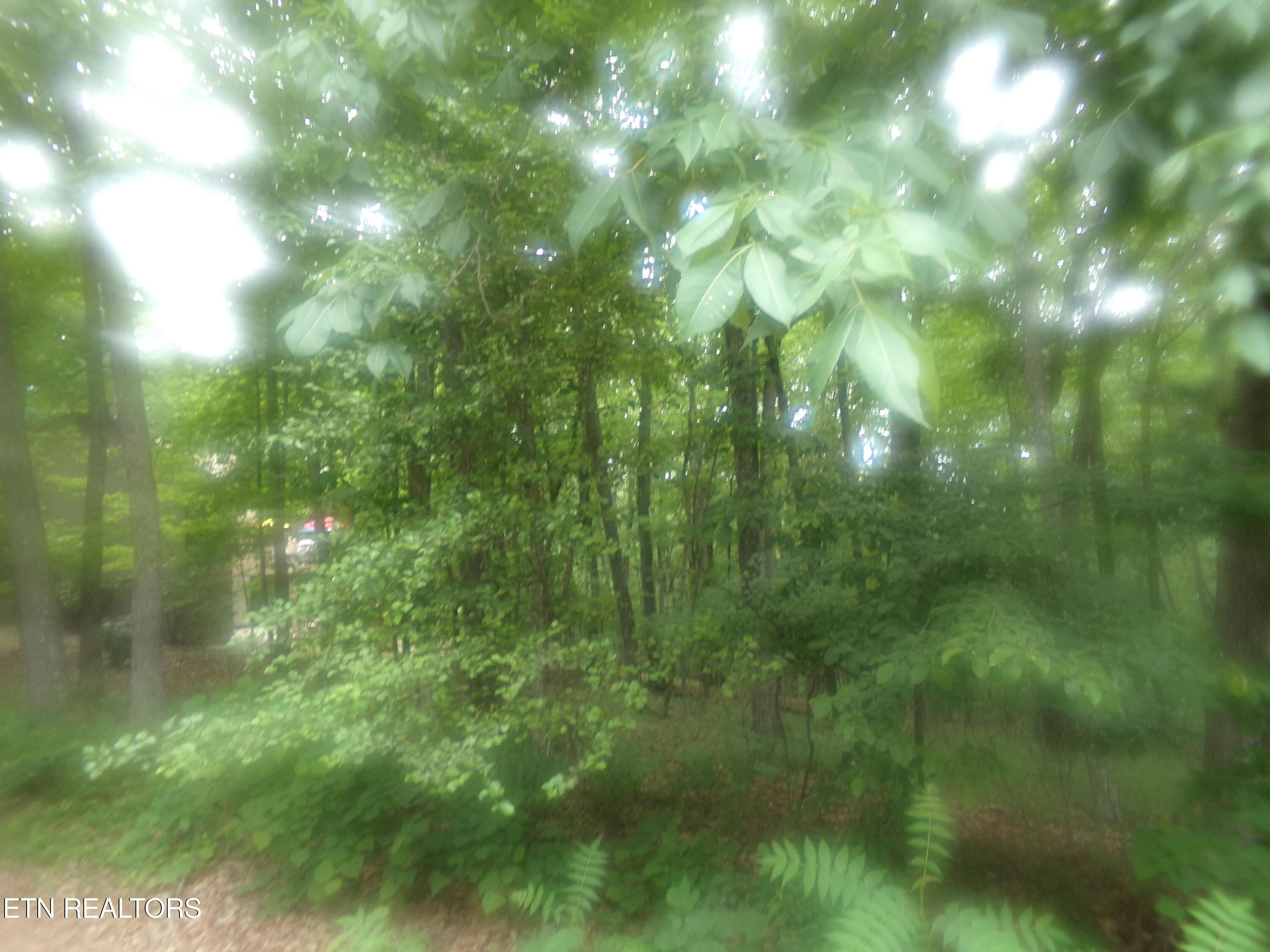 Image 3: Front of Lot