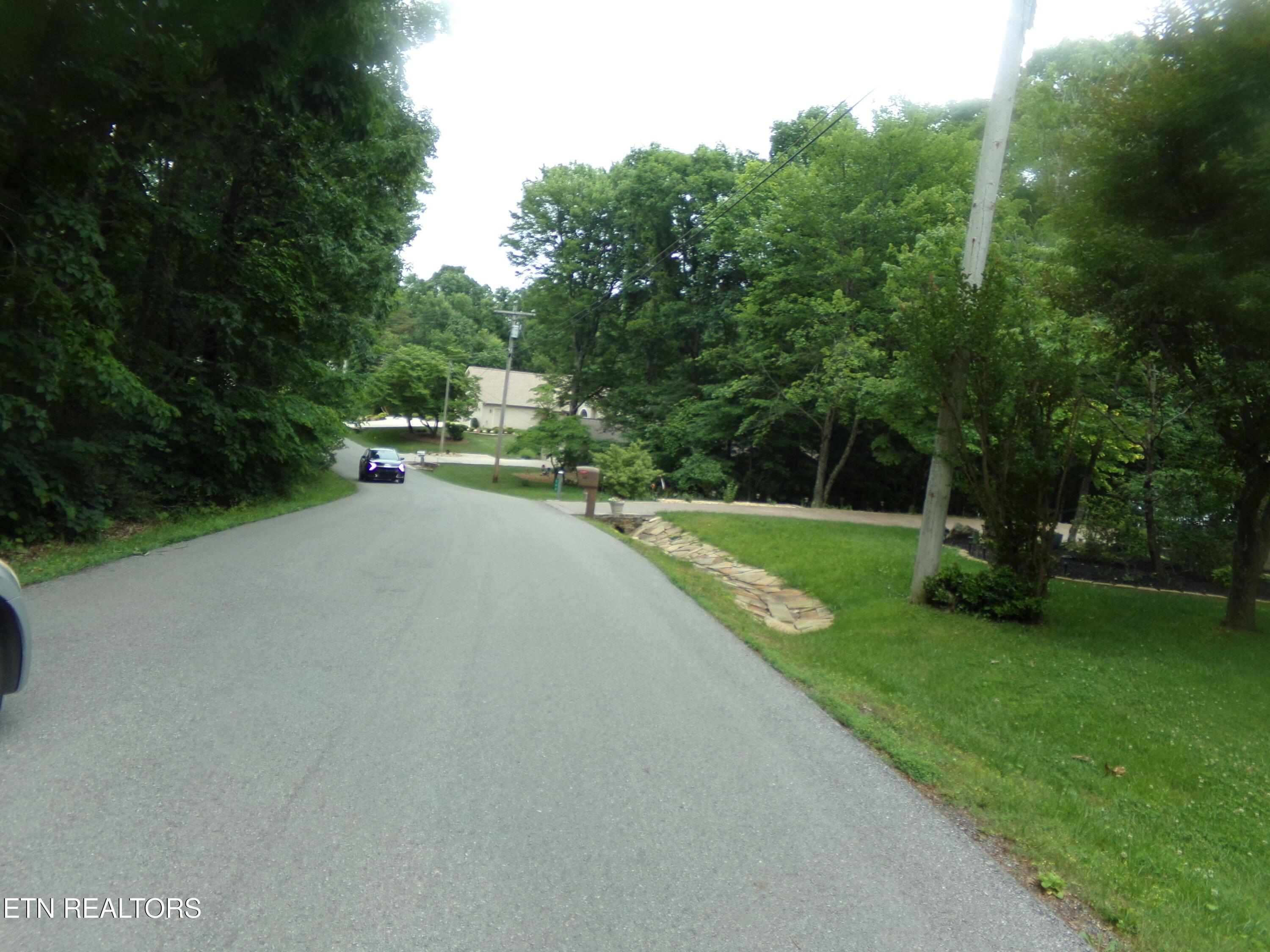Image 4: Street View