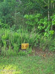 Lot 138 E Shore Drive
