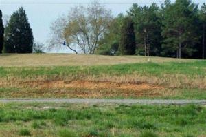 Lot 1 Okmulgee Circle 1