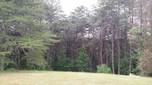Lot 60 Indian Shadows Drive 60