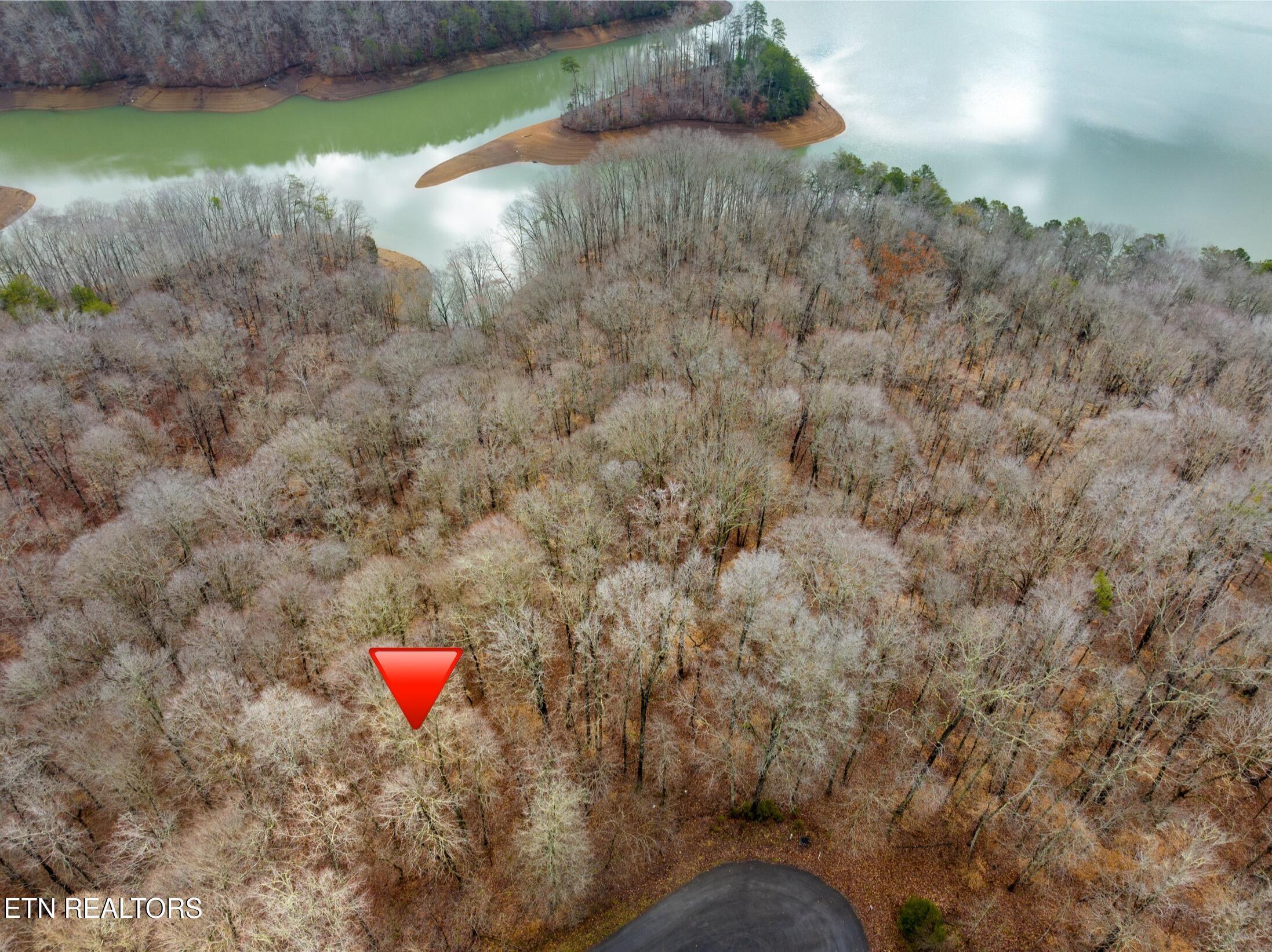 Image 3: DJI_20240223101458_0020_D.jpg-SMALL