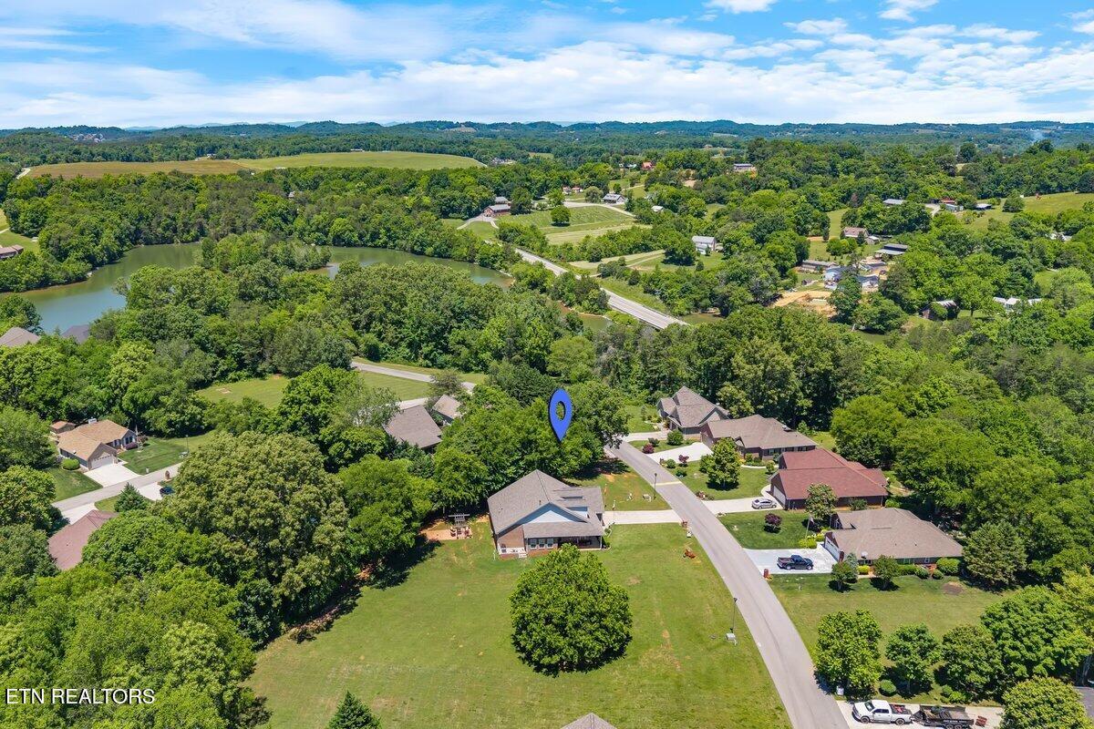 Image 3: lot61_2