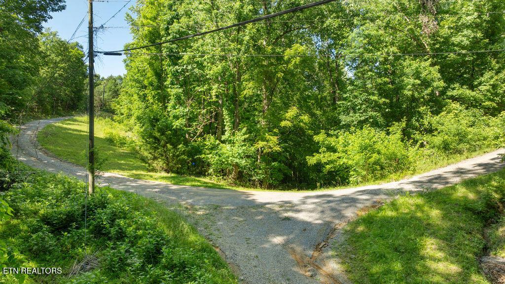 Image 2: DJI_0705