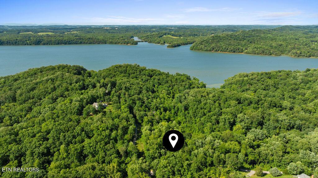 Image 3: DJI_0713