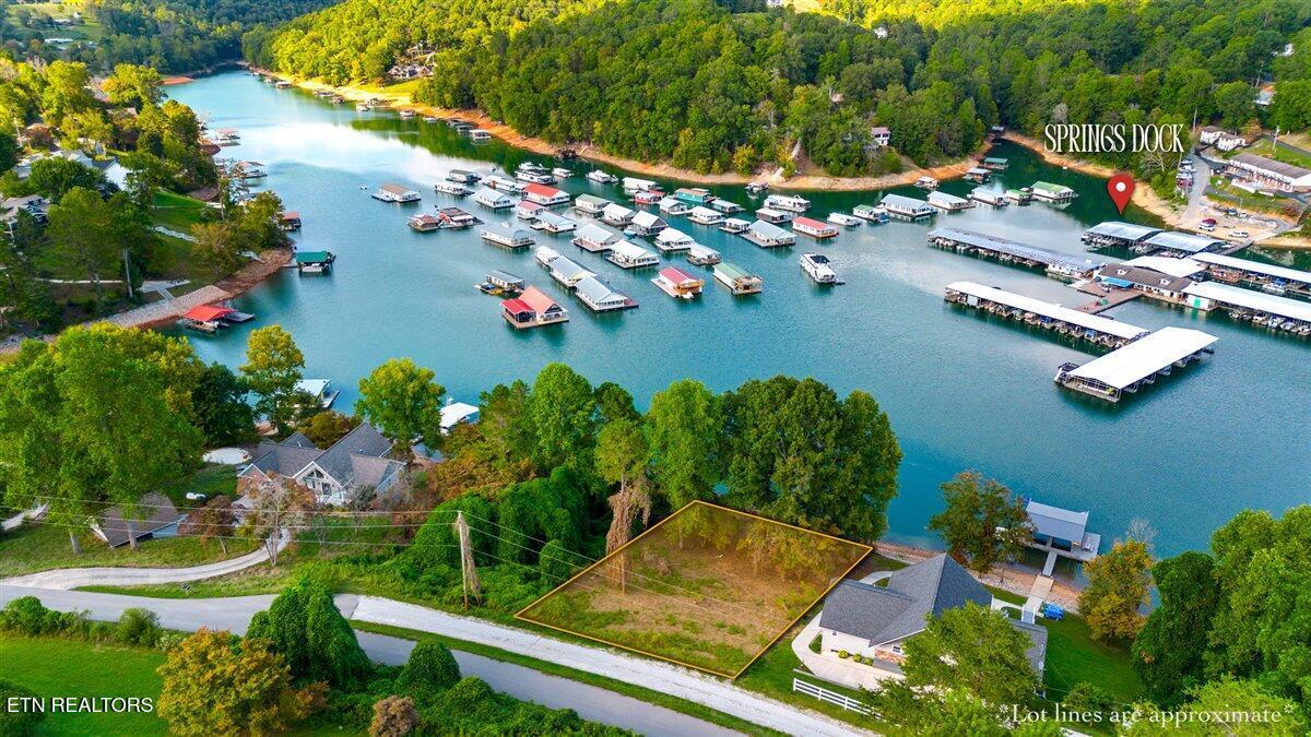 Image 3: SpringsDock-Lot-Proximity-TN.jpg