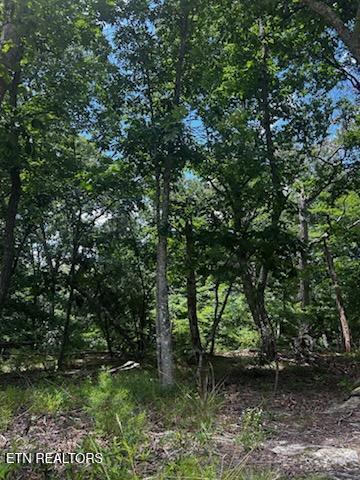 Image 2: 130 MARKHAM LANE
