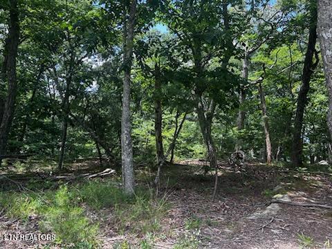 Image 3: FAIRFIELD GLADE
