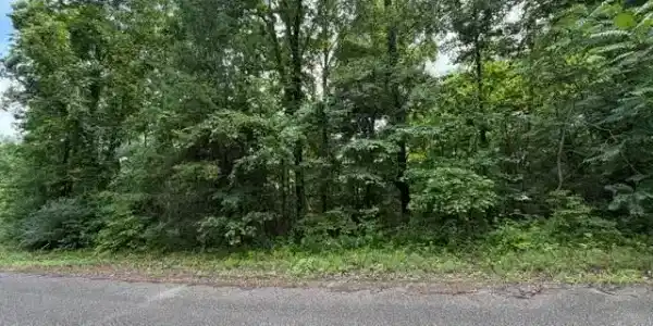 Saddleridge Dr. Drive