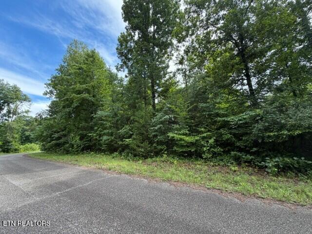 Image 2: Saddleridge Dr.