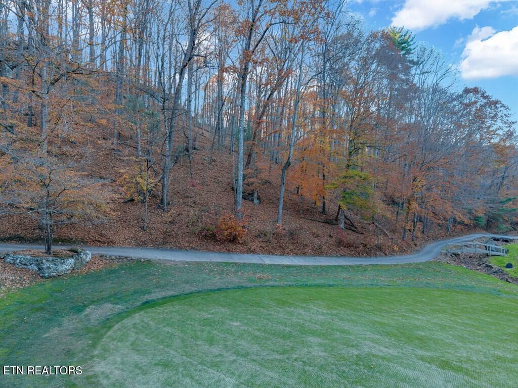 Image 2: 241543_1