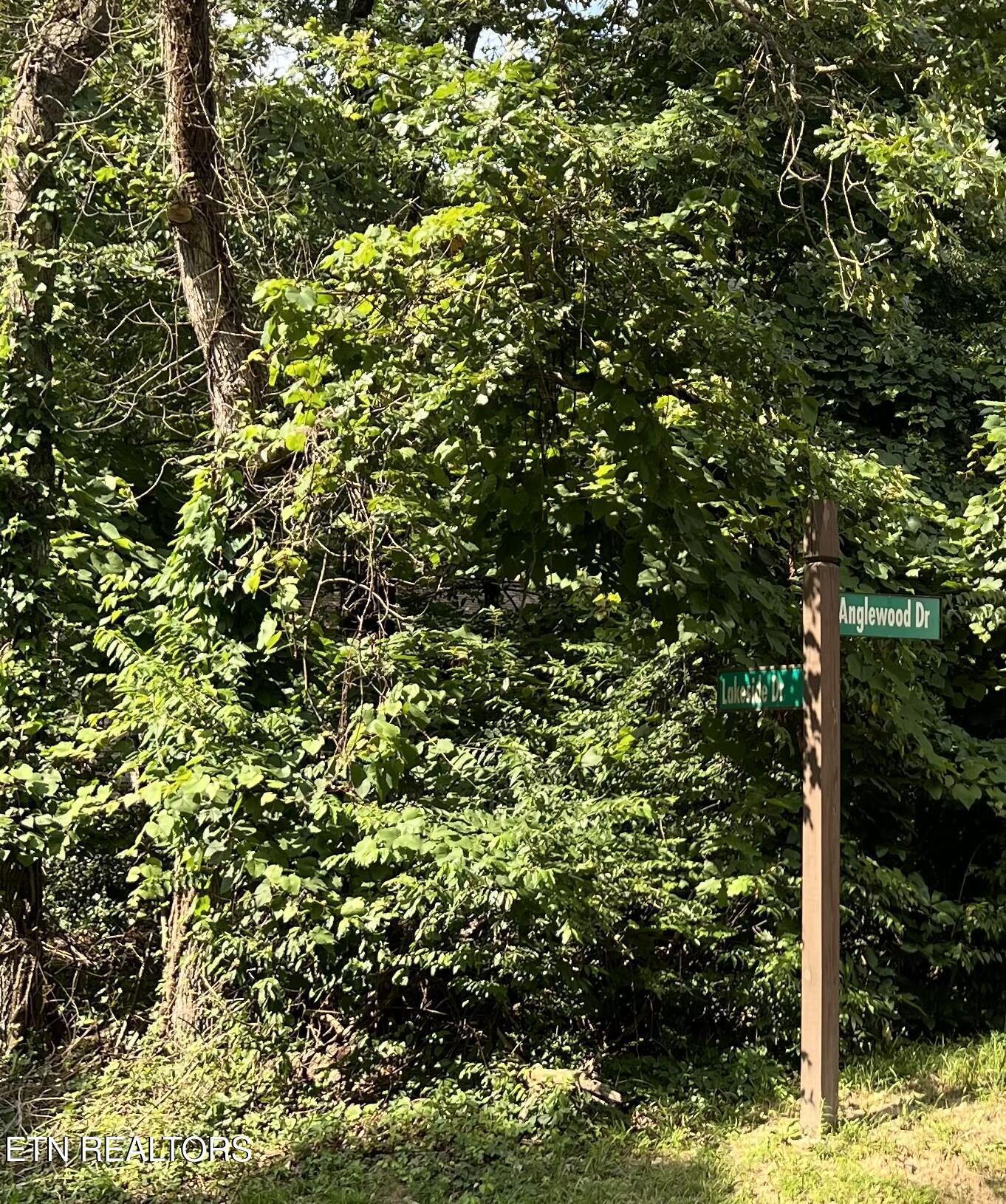 Image 1: street sign photo
