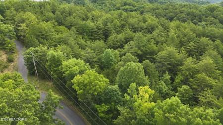 Buck Horn Rd