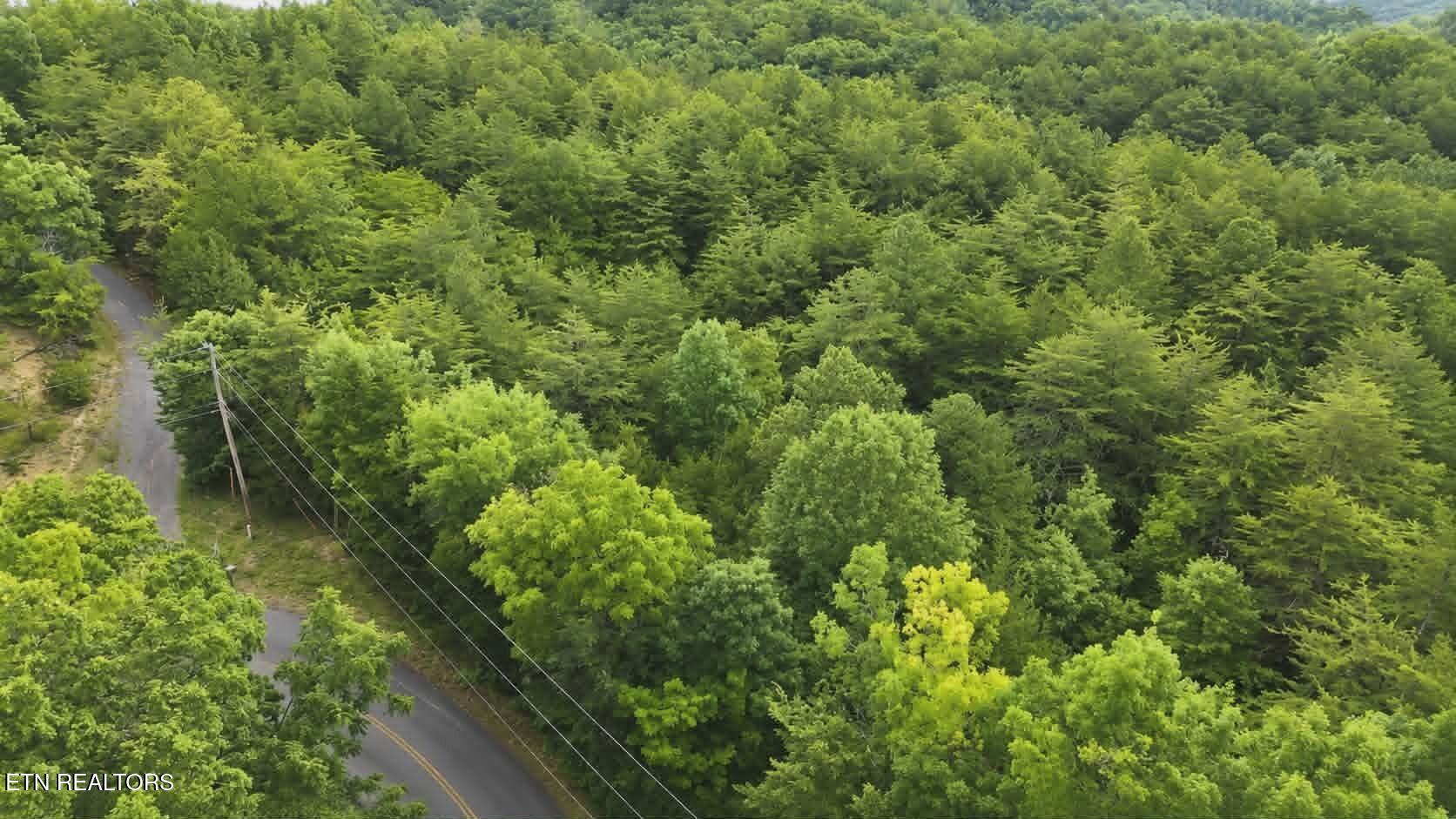 Image 1: 8ca3b8a7-6b20-472e-b1e8-c83ca6c32380