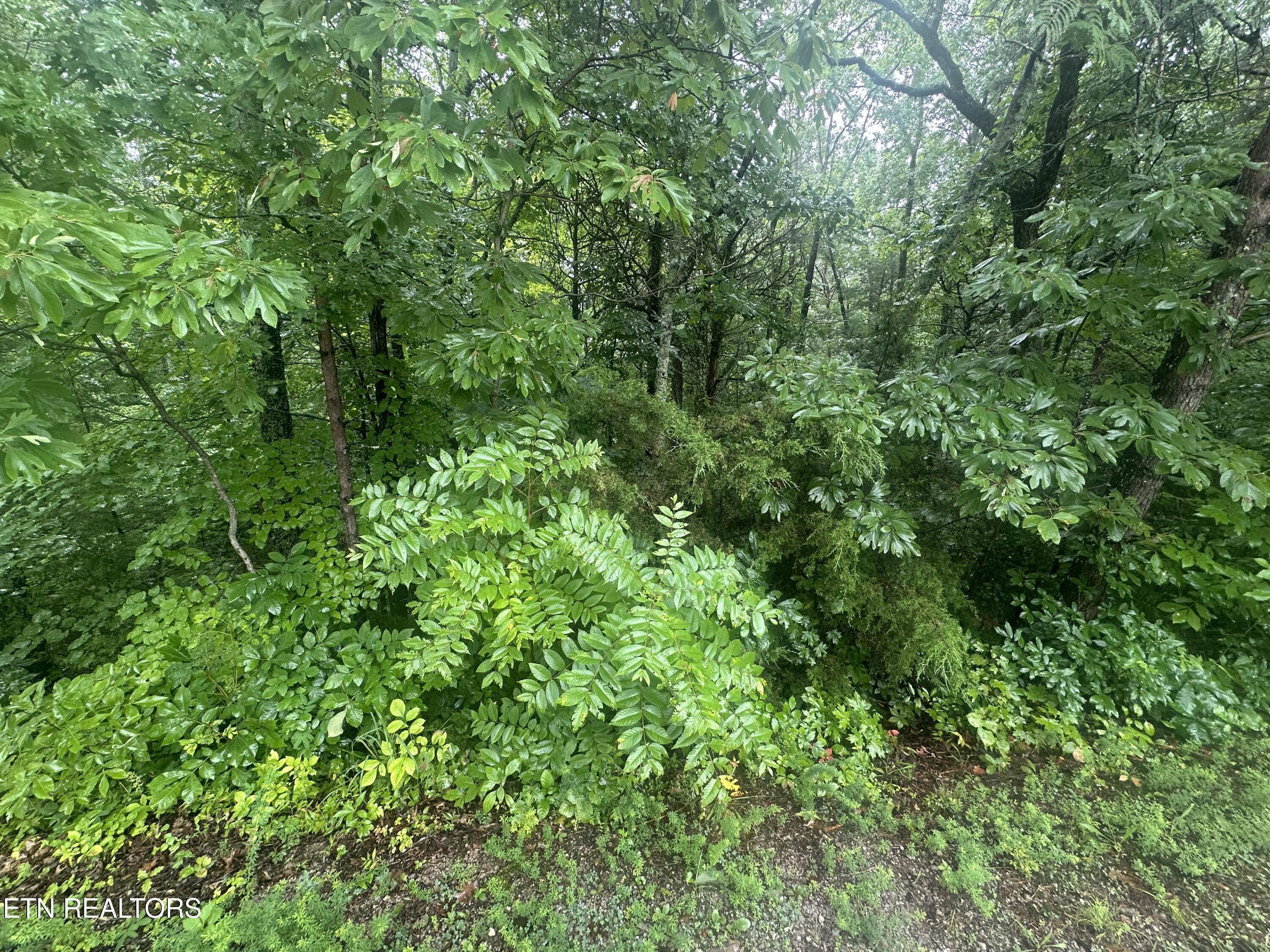 Image 2: IMG_7556