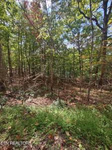 Hueston Wood Lane
