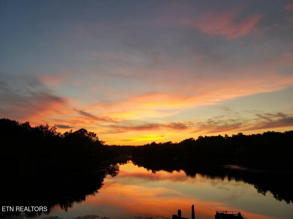 Image 1: Resized_20210604_200811