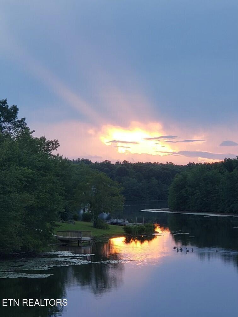 Image 3: Resized_20200712_195520