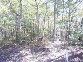 135 Folkstone Rd 425