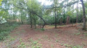 Lot 120 Apache Court 120