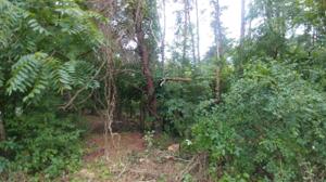 Lot 121 Apache Court 121