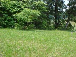 Lot 56 Cherokee Drive