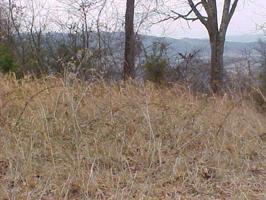 328 Mcdaniel Rd