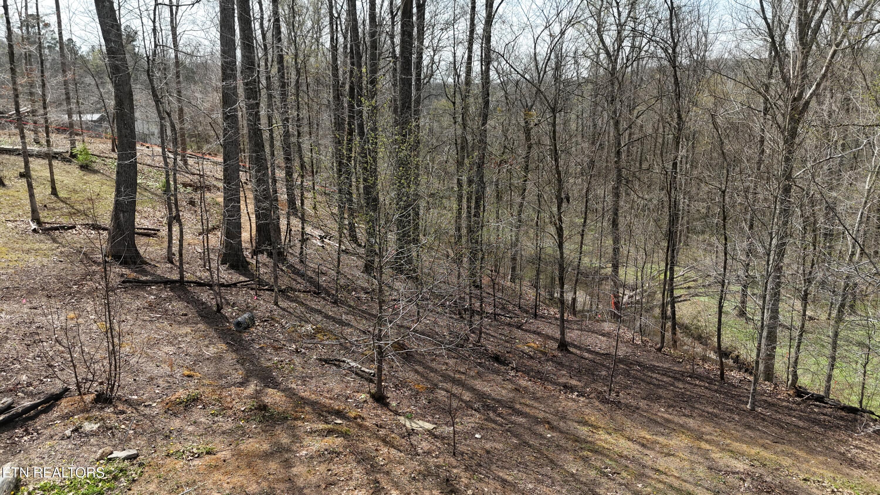 Image 2: dji_fly_20260325_133700_0247_17745556722