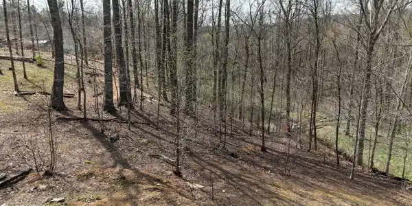 Image 2: dji_fly_20260325_133700_0247_17745556722