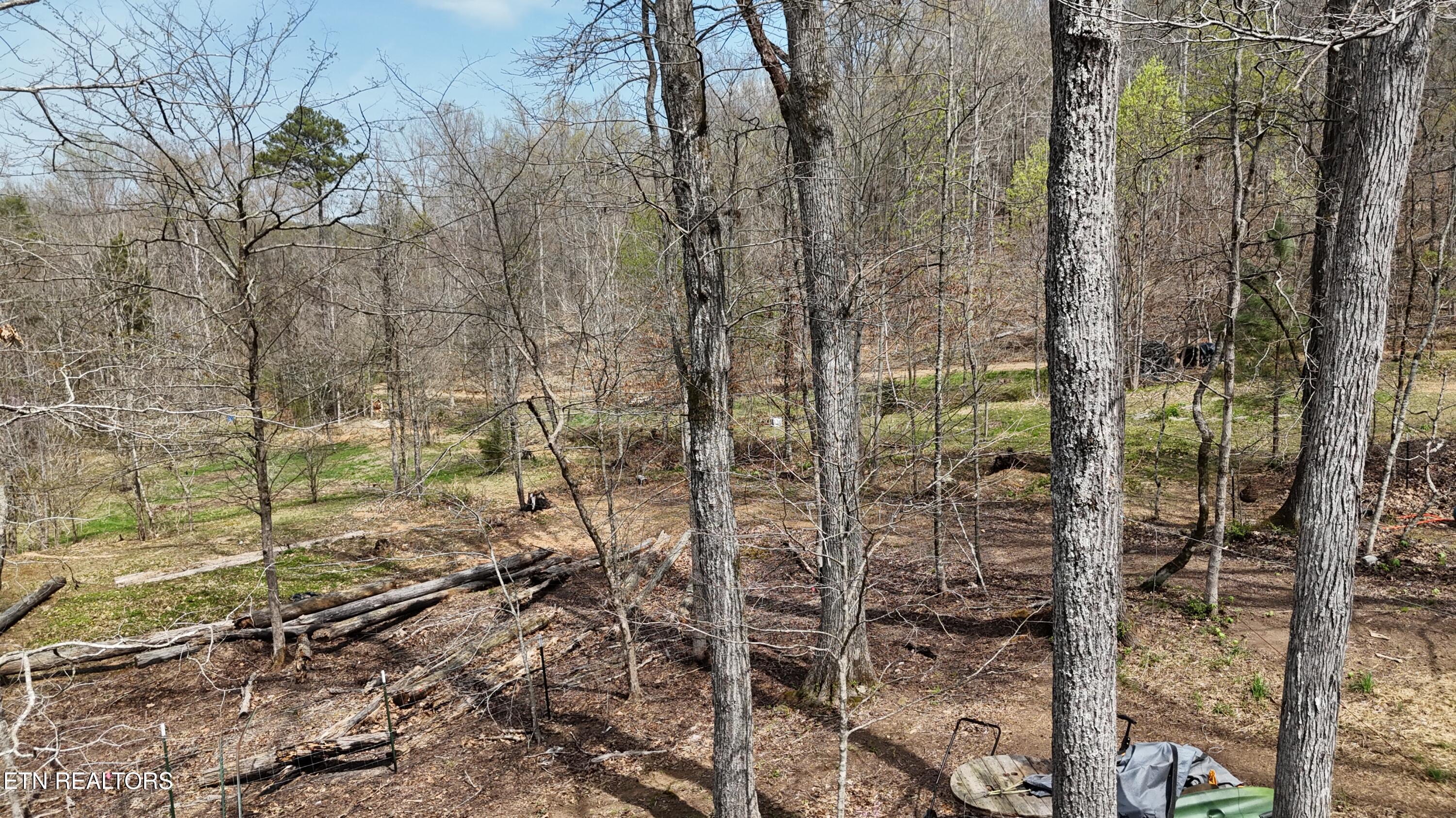 Image 3: dji_fly_20260325_133636_0246_17745556737