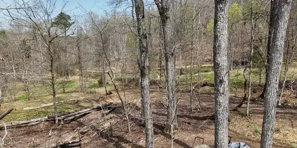 Image 3: dji_fly_20260325_133636_0246_17745556737