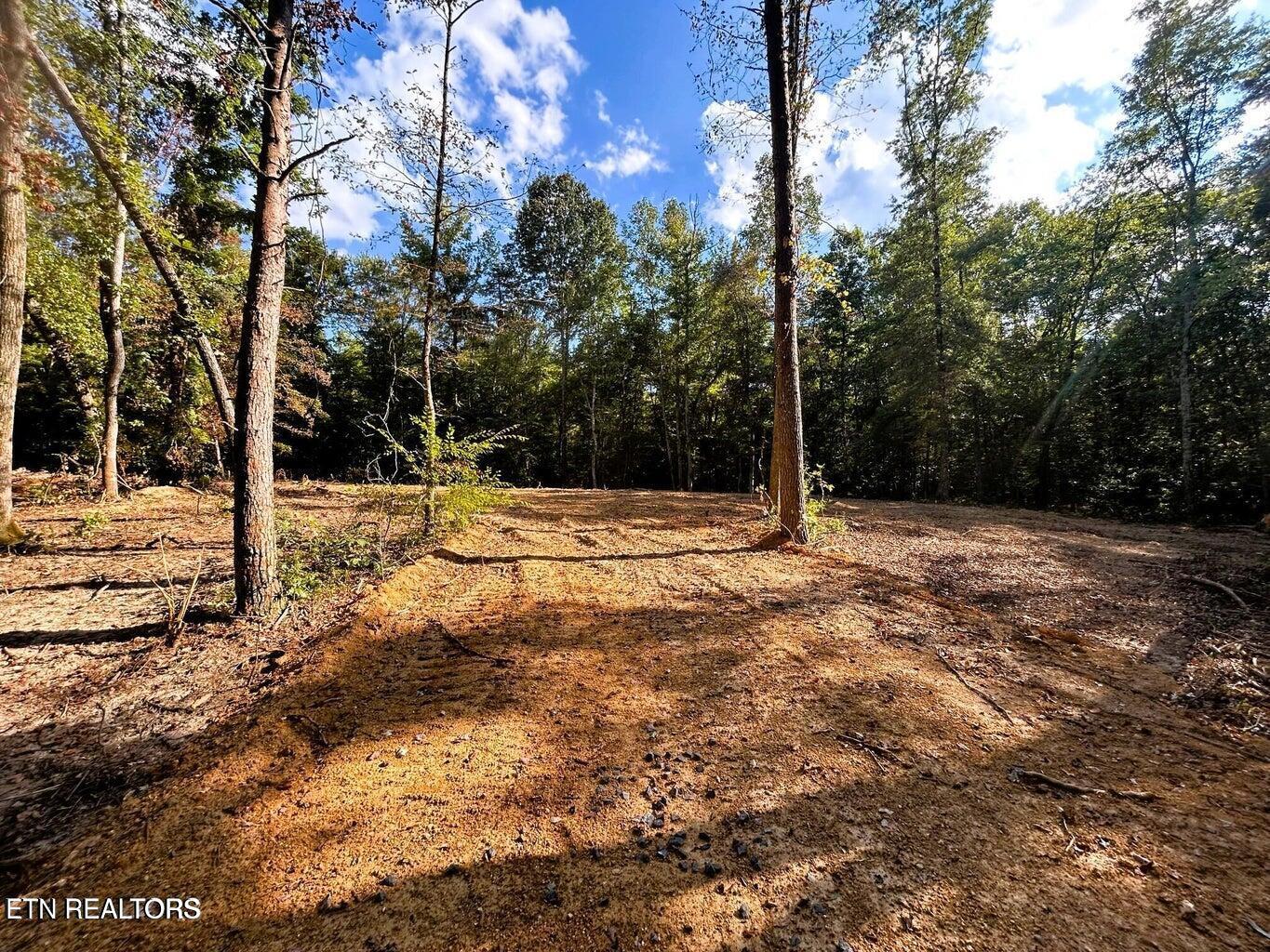 Image 1: TRact 1 PH build site