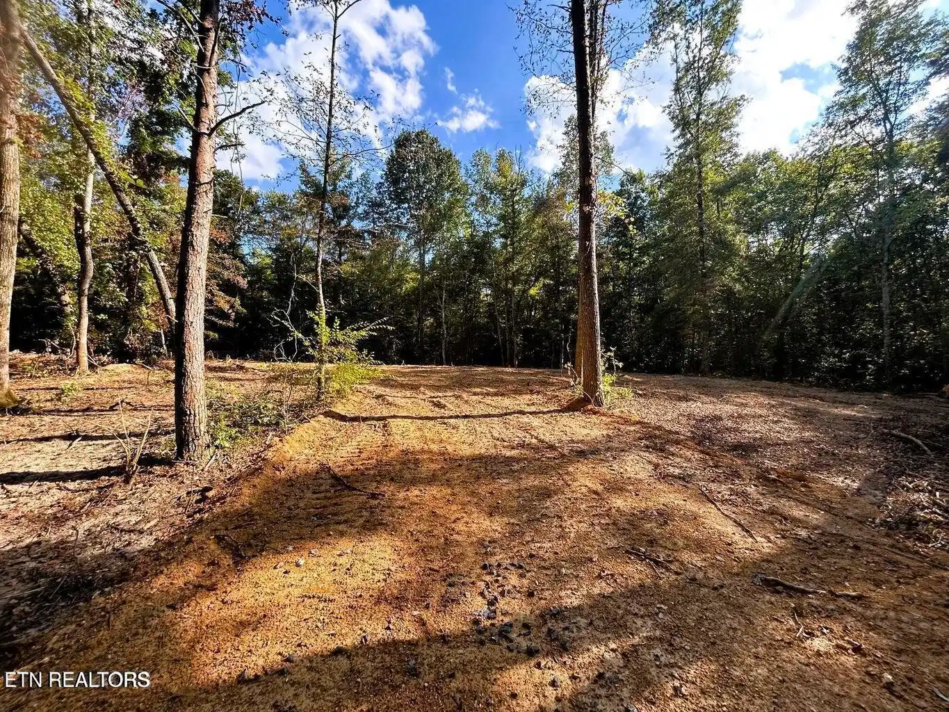 Image 1: TRact 1 PH build site