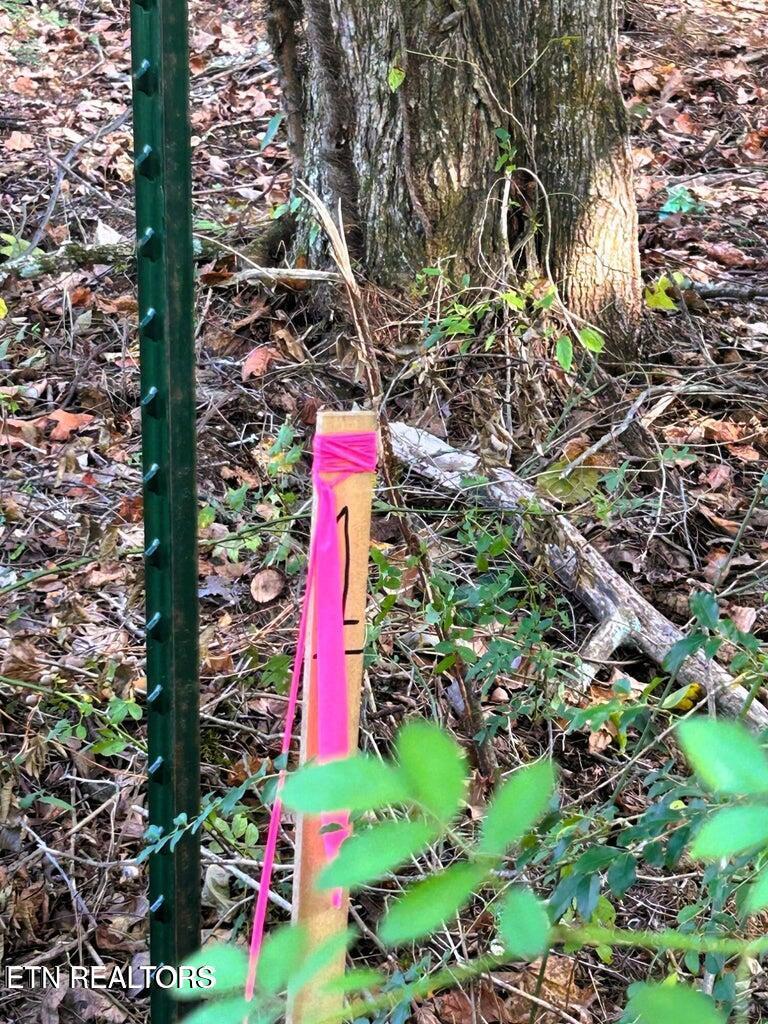 Image 3: Tract 1 PH corners marked