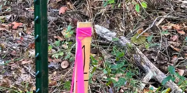 Image 3: Tract 1 PH corners marked