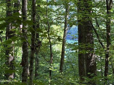 Lot 74, Norris Shores Drive