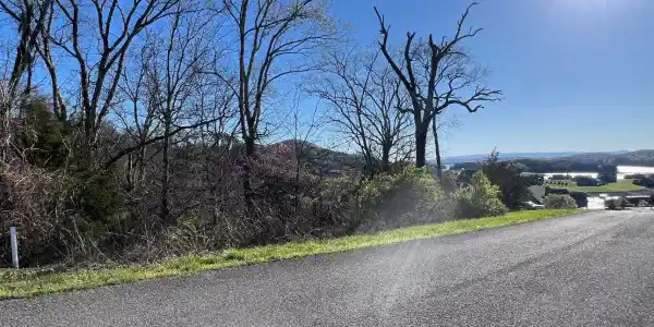 lot 356R Larayne Hollow Rd