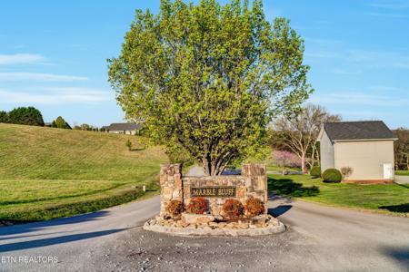 Marble Bluff Drive