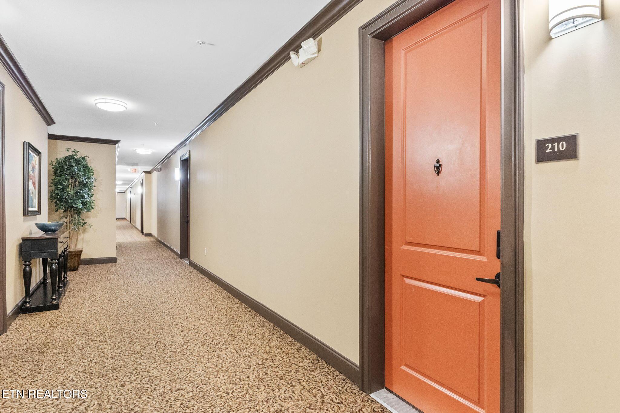 Image 3: Condo 210