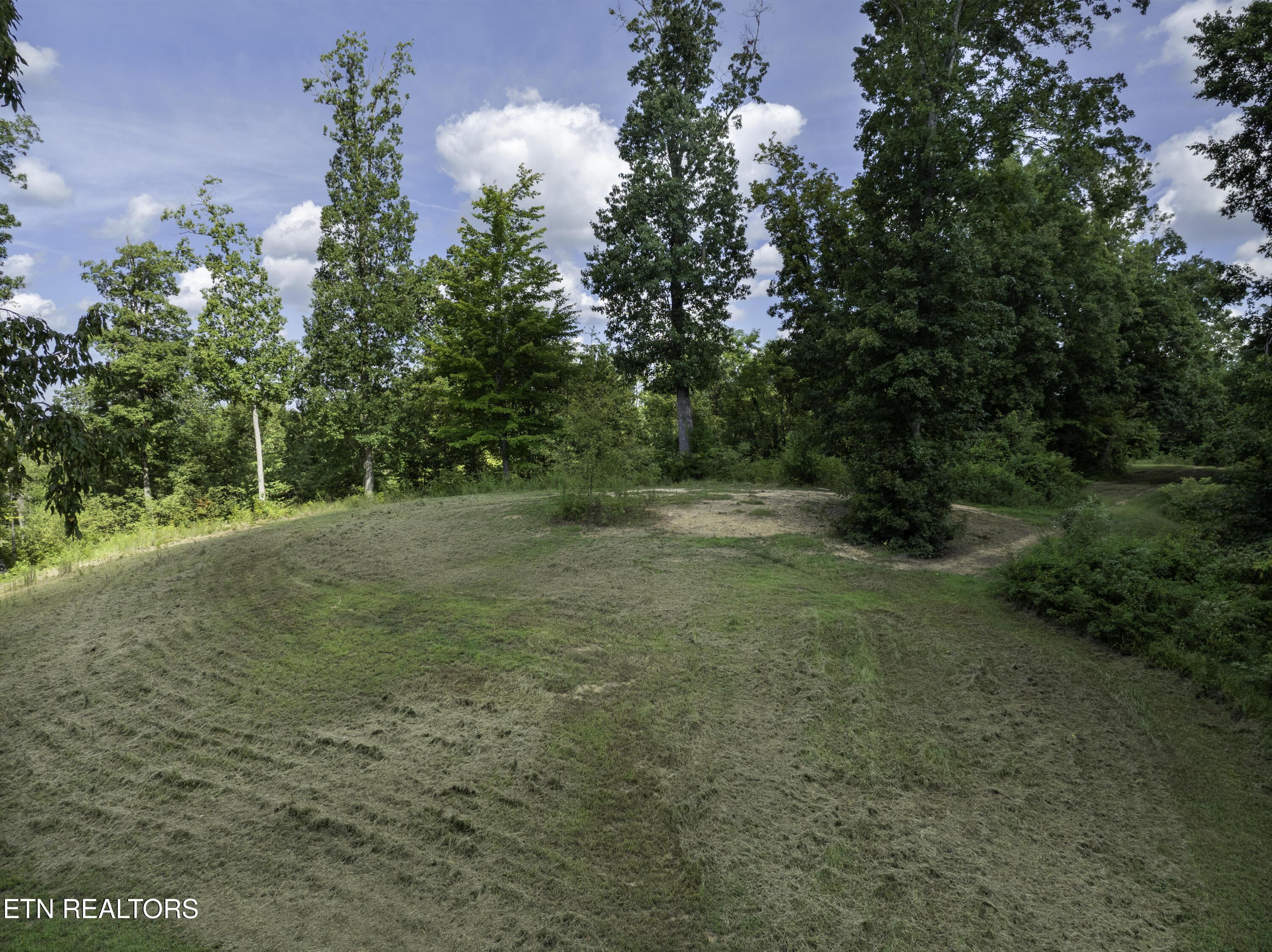 Image 4: 5 DJI_0001-HDR-2