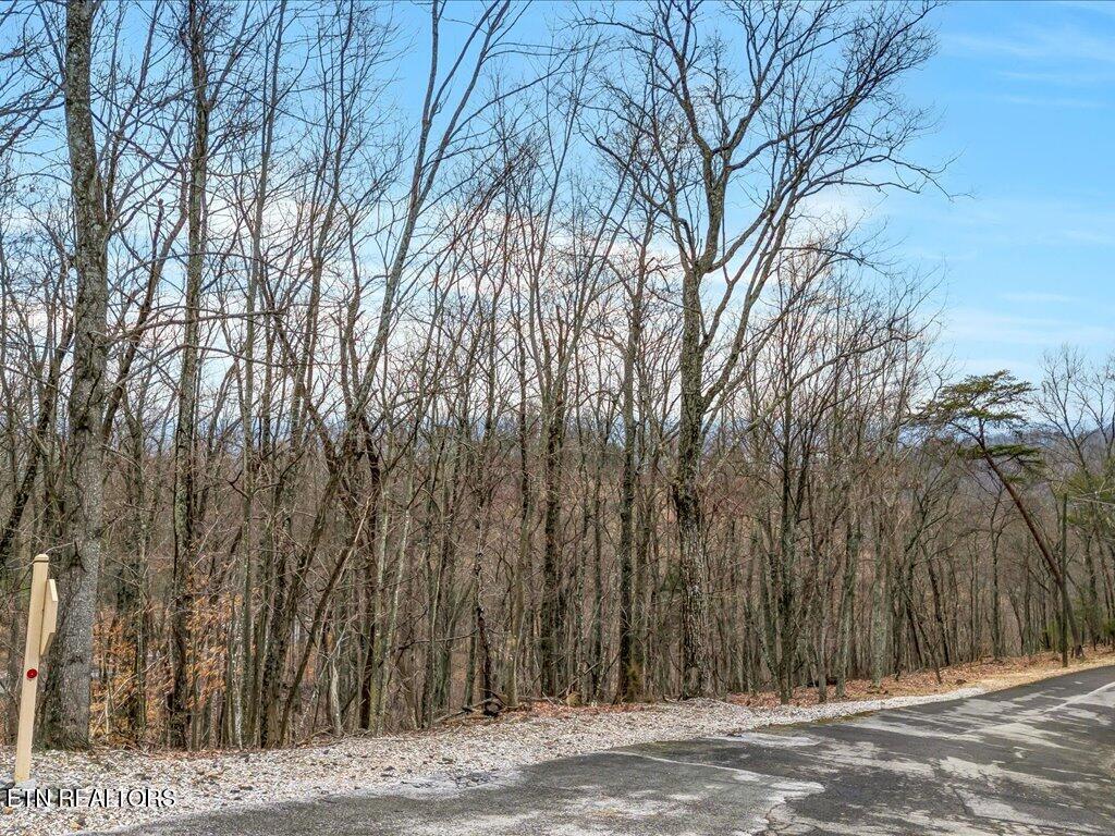 Image 4: 1126 Keetoowah Dr - 4