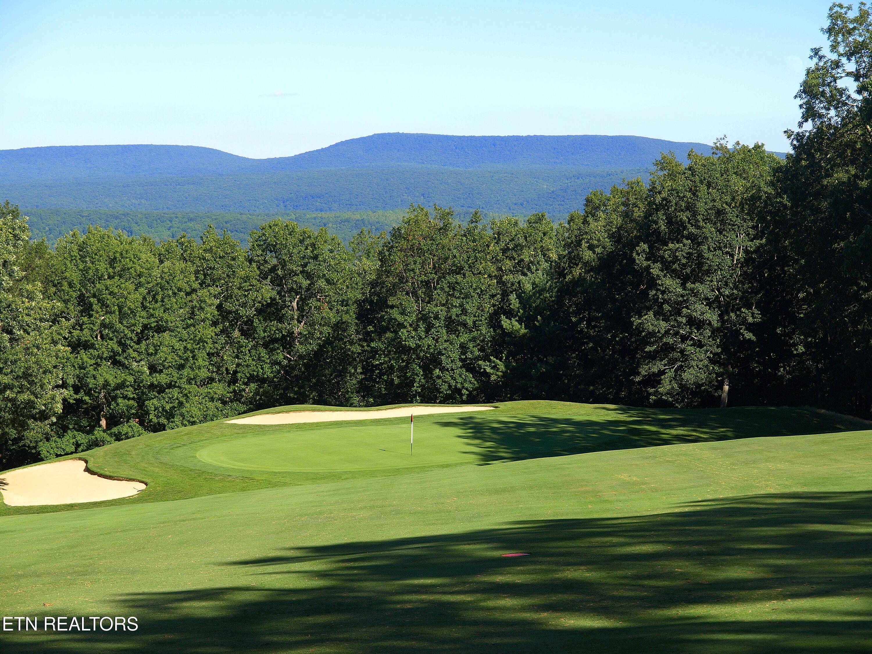 Image 4: FFG golf couse pictures 008