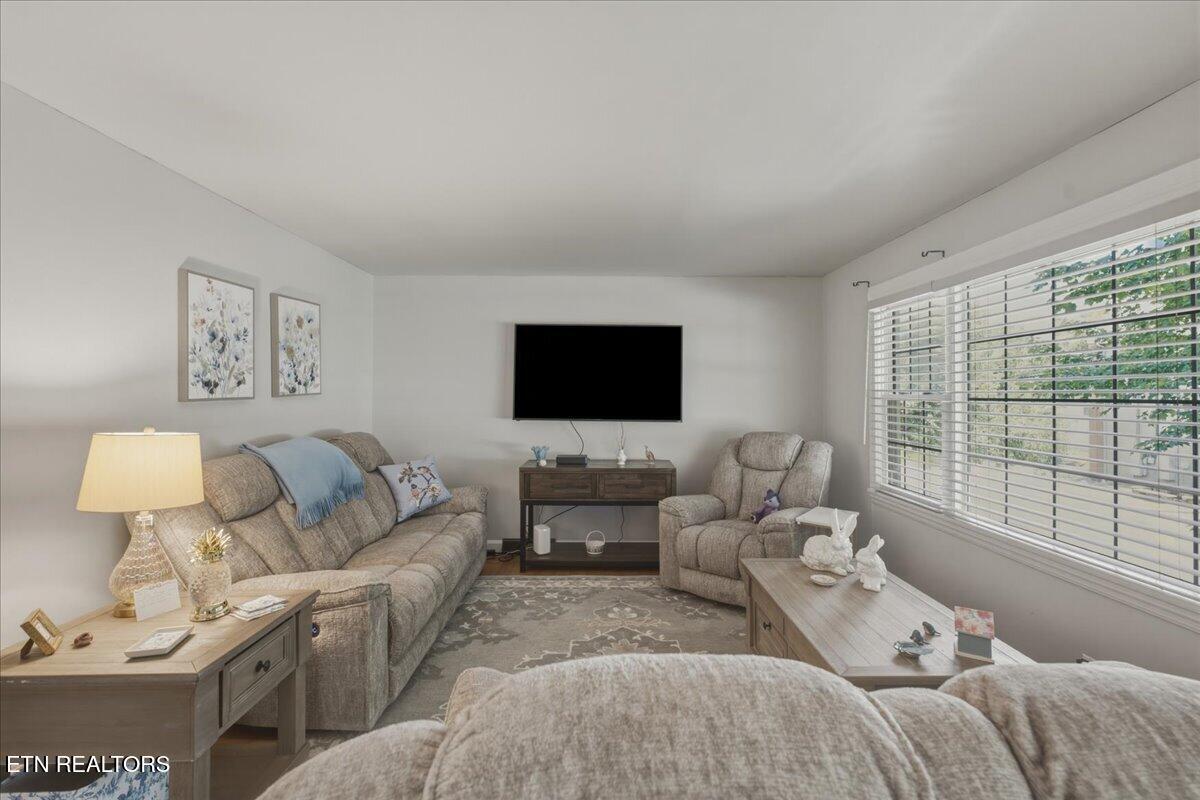 Image 4: 04-Living Room