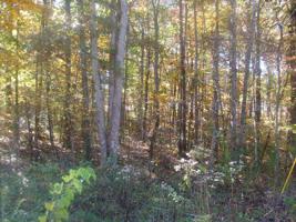 3007 Nocatee Tr
