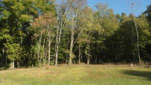 Lot 147 Timberhead Lane