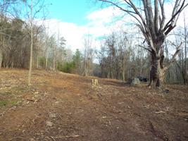 246 Old Citico Rd