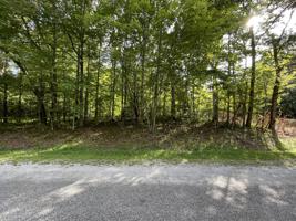 169 Hawes Circle